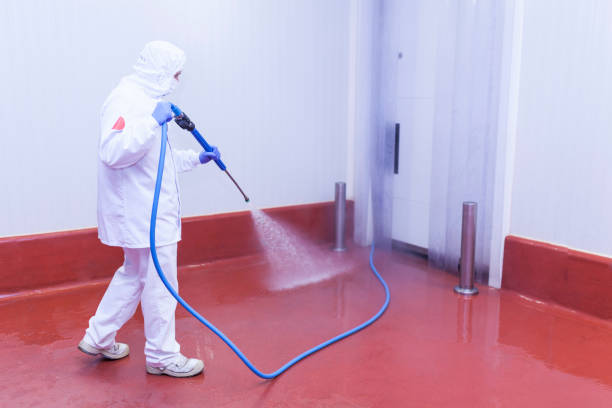 Trusted Delta, UT  Pressure Washing Services Experts